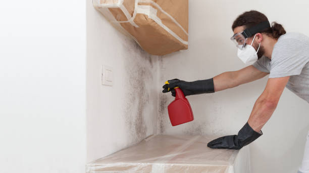 Professional Mold Remediation technician working in World Golf Village, FL